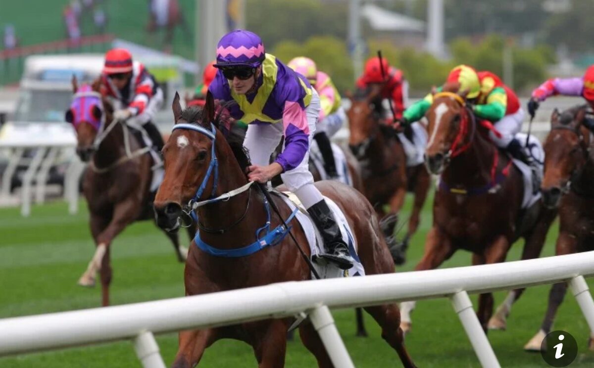 A man riding a horse in a track with fellow competitors on the background