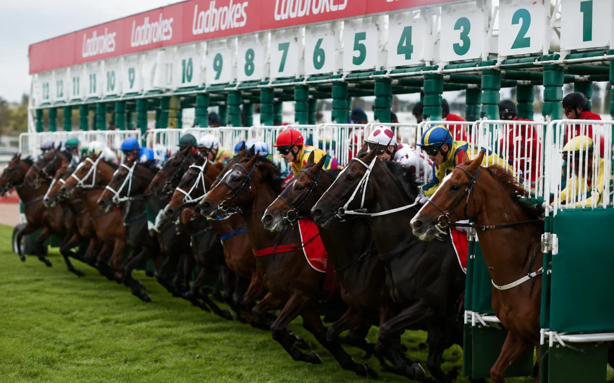 Australian Horse Racing Tips