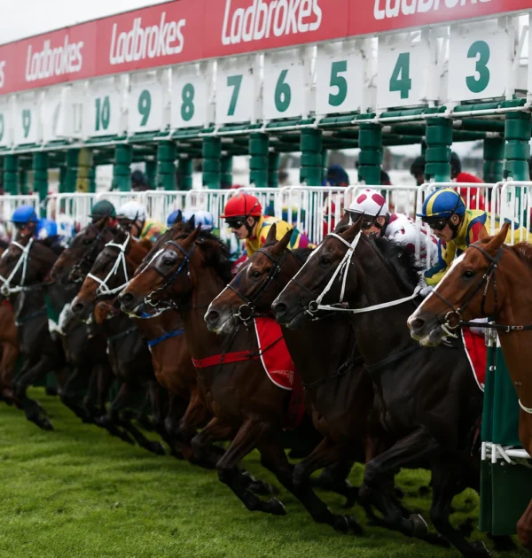 Australian Horse Racing Tips