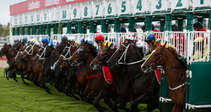 australian-horse-racing-tips Australian Horse Racing Tips