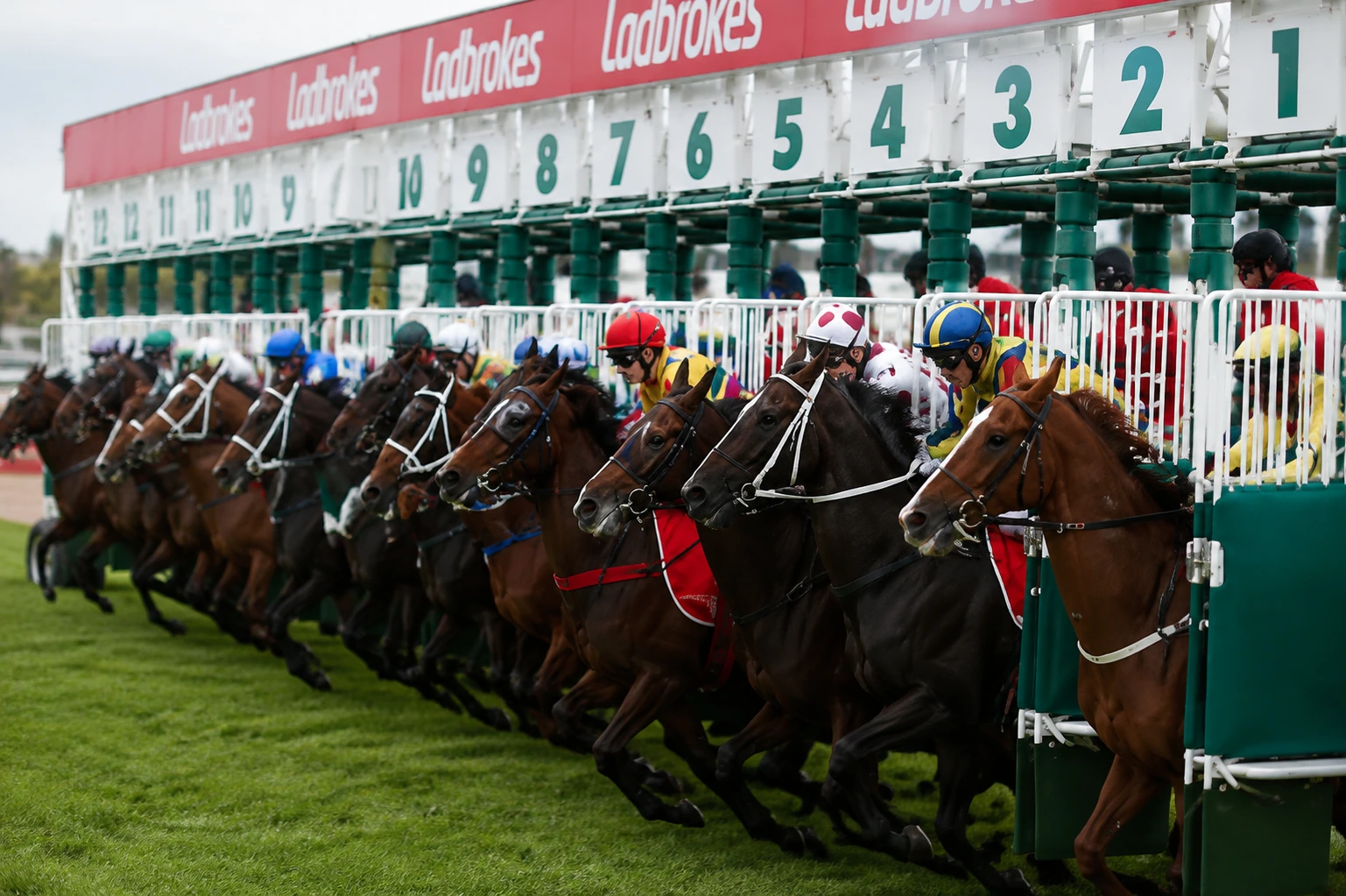 Australian Horse Racing Tips Backed by 60+ Hours of Weekly Form Study