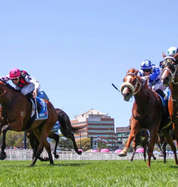 Best Betting Tips Australia