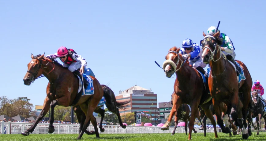 best-betting-tips-australia-compare-racing-analysts Best Betting Tips Australia