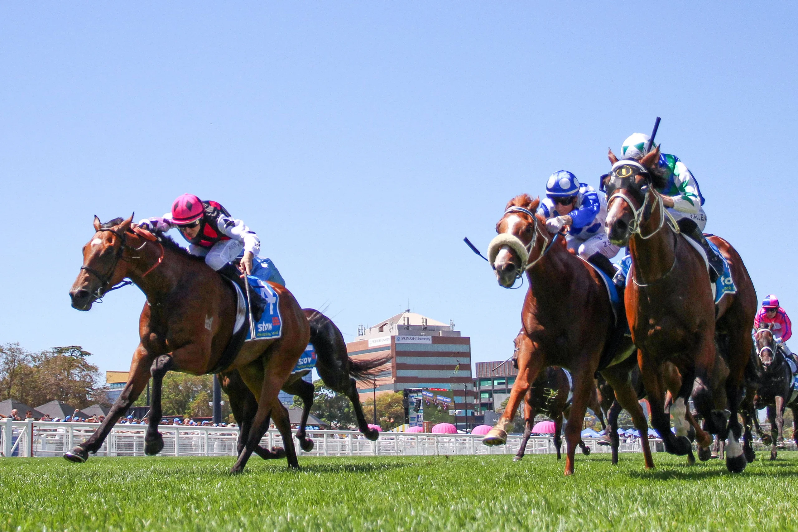 Best Betting Tips Australia: What to Look for in a Racing Analyst
