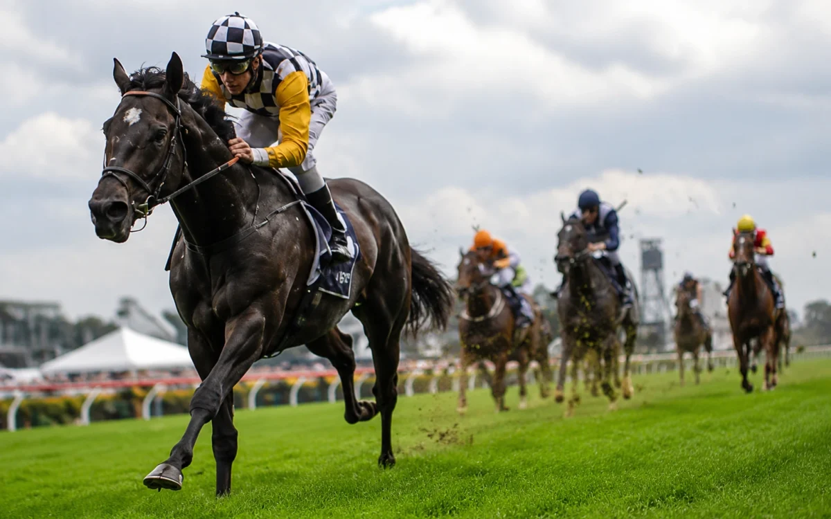 Best Betting Tips Australia: How Local Racing Conditions Shape Form