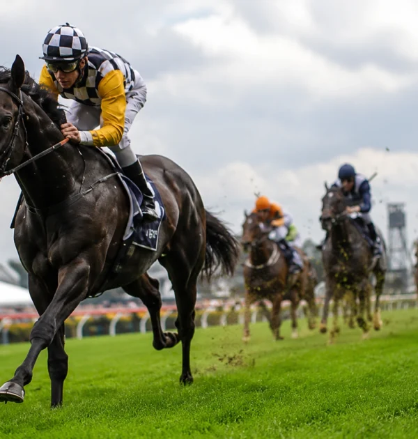Best Betting Tips Australia: How Local Racing Conditions Shape Form
