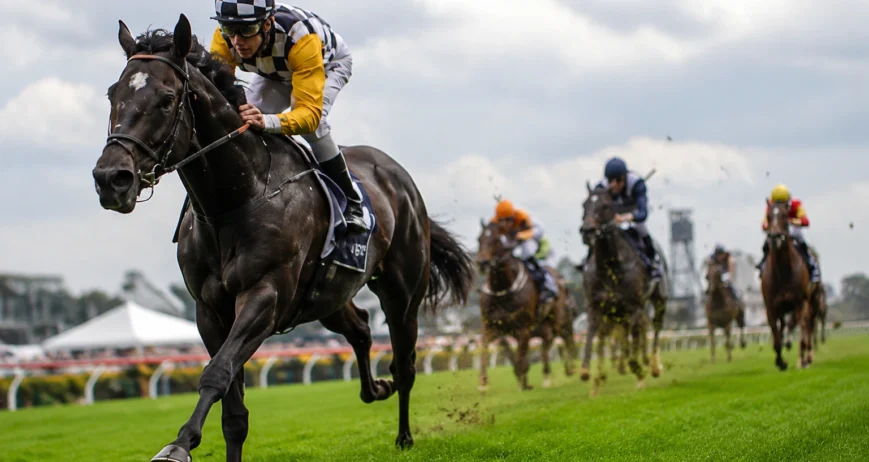 best-betting-tips-australia-racing-conditions Best Betting Tips Australia: How Local Racing Conditions Shape Form