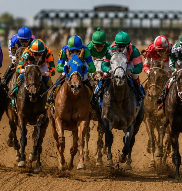 Expert Betting Tips