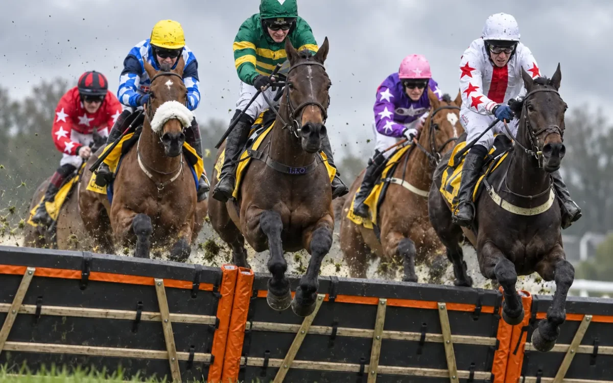 Betting Tips Today: What Changes Between the Morning Preview and the Jump?