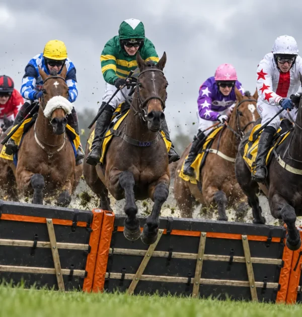 Betting Tips Today: What Changes Between the Morning Preview and the Jump?