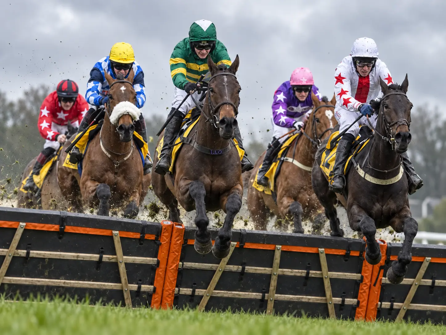 Betting Tips Today: What Changes Between the Morning Preview and the Jump?