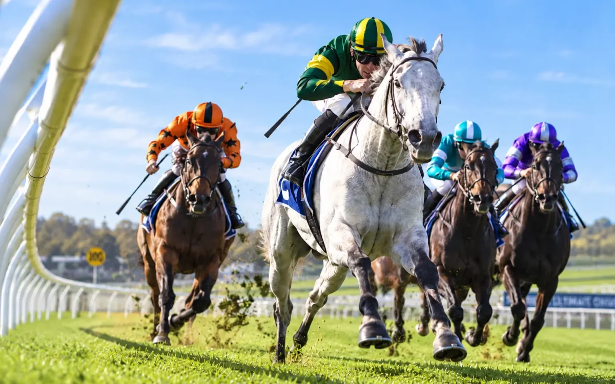 More Horse Racing Tips Won’t Fix a Weak Betting Process