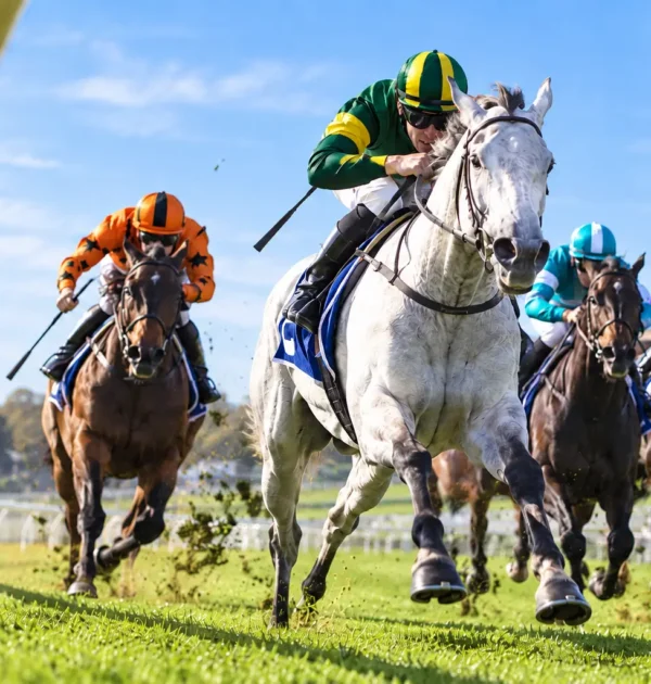 More Horse Racing Tips Won’t Fix a Weak Betting Process