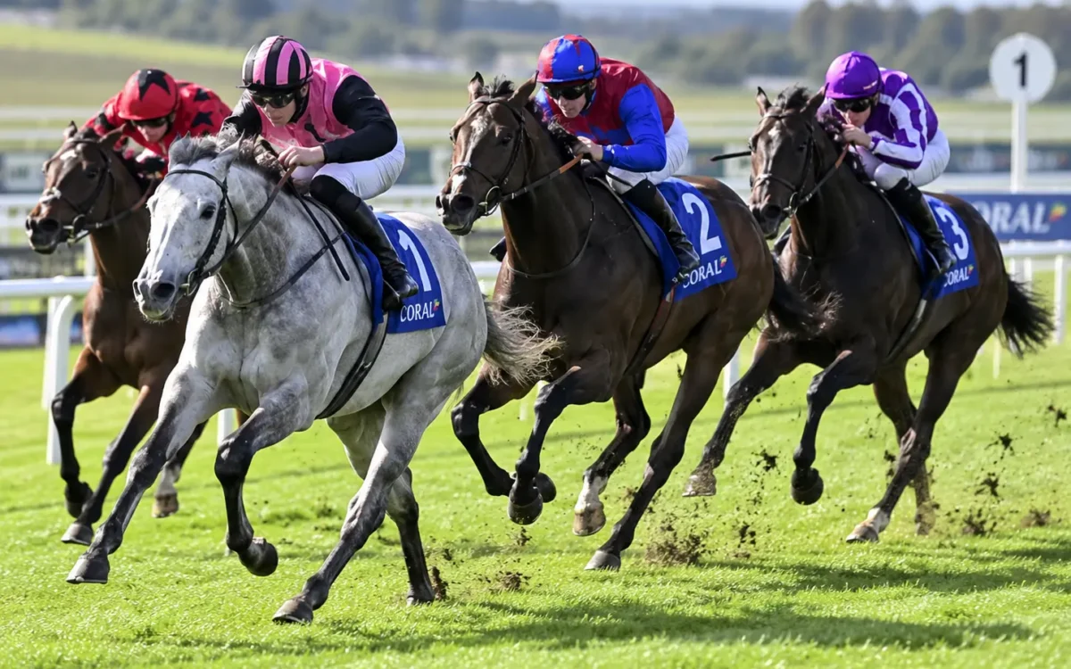 Racing Tips Today
