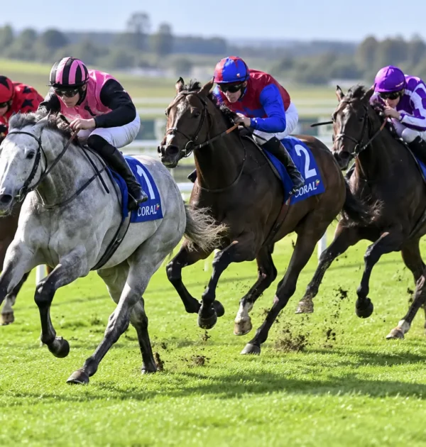 Racing Tips Today