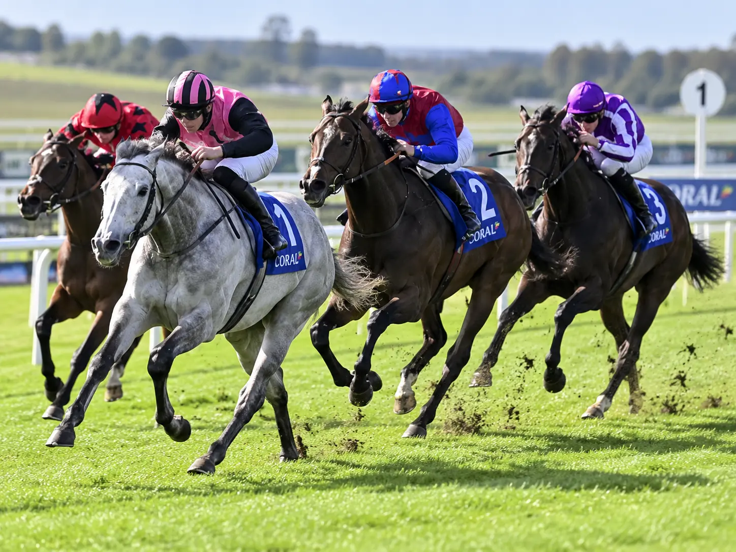 Racing Tips Today: Latest Selections and Analysis