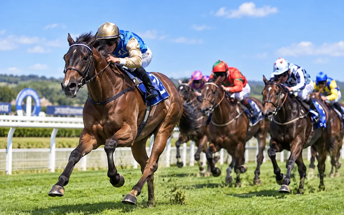 Sky Racing Tips: What to Look for Beyond the Broadcast Selections