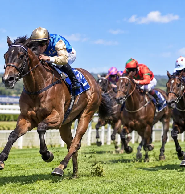 Sky Racing Tips: What to Look for Beyond the Broadcast Selections