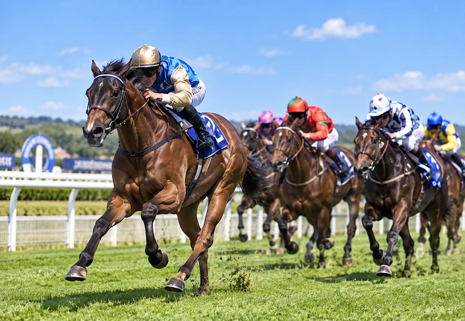 Sky Racing Tips: What to Look for Beyond the Broadcast Selections